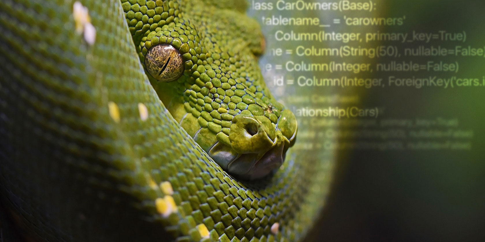 Curso profesional de Python